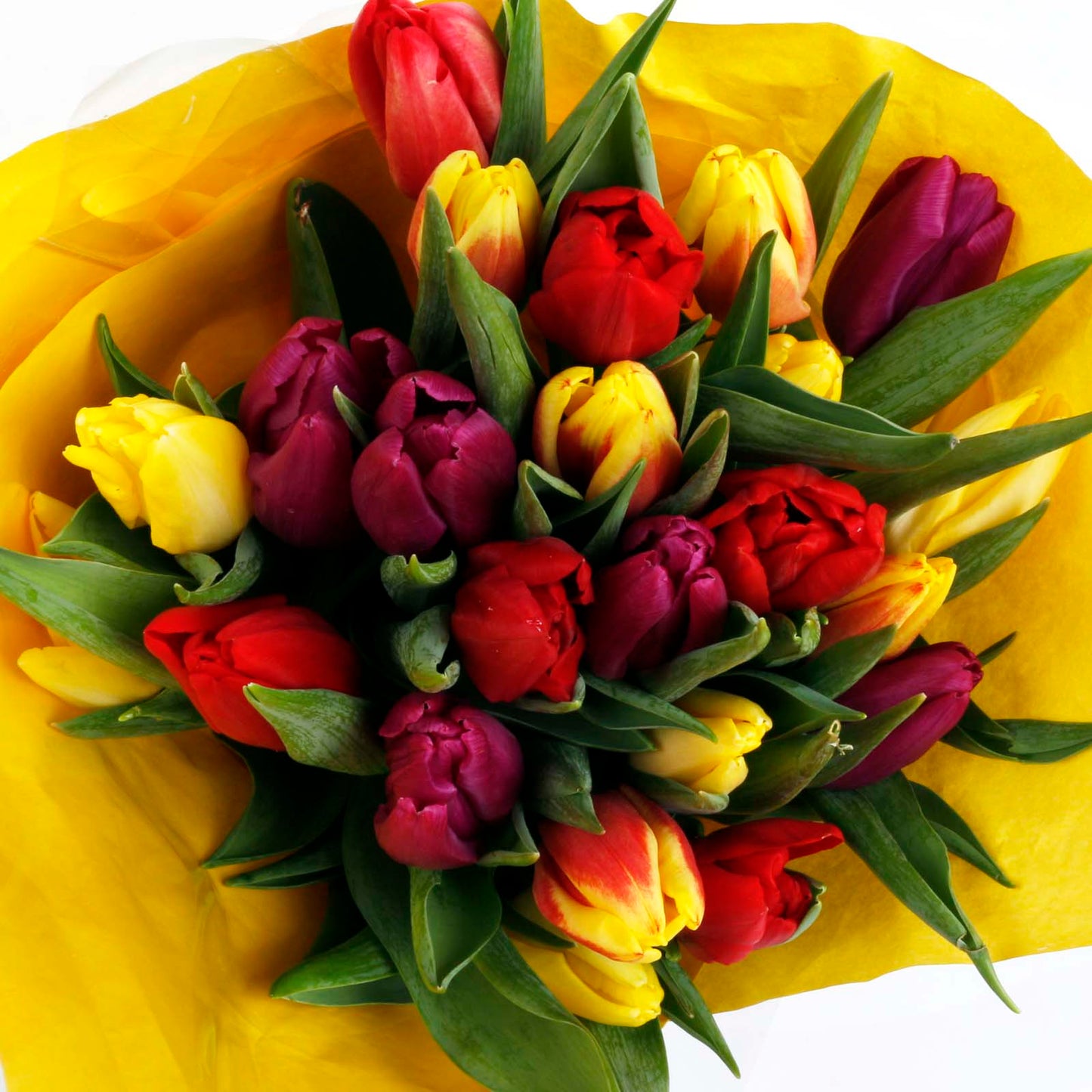 Rainbow Dutch Tulips Fresh Flowers Bouquet