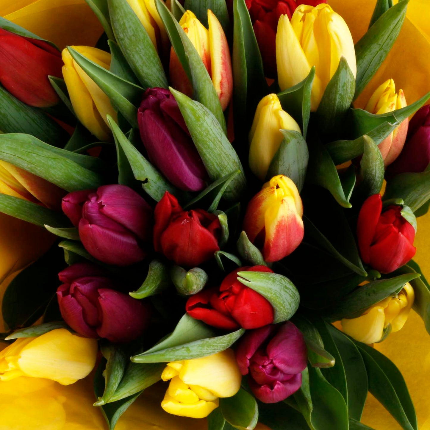 Rainbow Dutch Tulips Fresh Flowers Bouquet