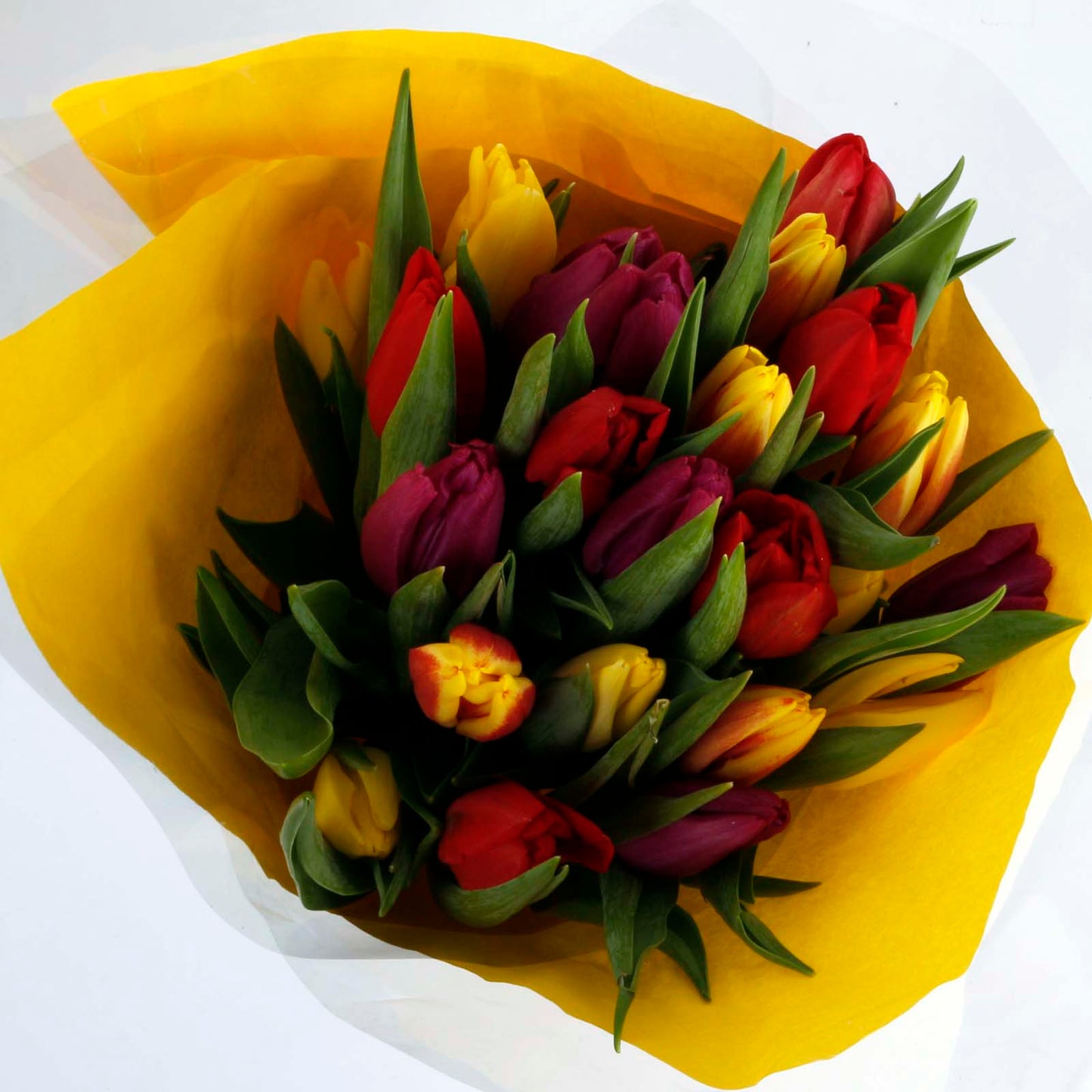 Rainbow Dutch Tulips Fresh Flowers Bouquet